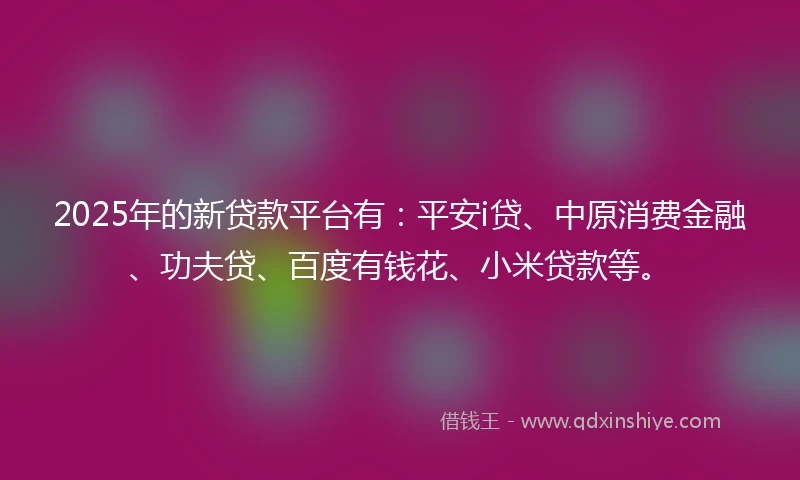 2025年的新贷款平台有：平安i贷、中原消费金融、功夫贷、百度有钱花、小米贷款等。
