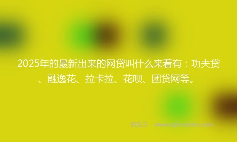 2025年的最新出来的网贷叫什么来着有：功夫贷、融逸花、拉卡拉、花呗、团贷网等。