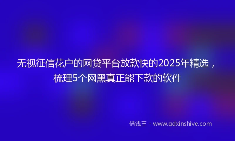 无视征信花户的网贷平台放款快的2025年精选，梳理5个网黑真正能下款的软件