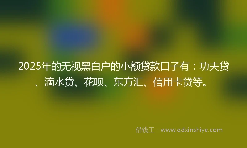 2025年的无视黑白户的小额贷款口子有：功夫贷、滴水贷、花呗、东方汇、信用卡贷等。