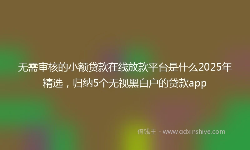 无需审核的小额贷款在线放款平台是什么2025年精选，归纳5个无视黑白户的贷款app