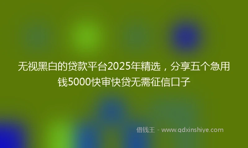 无视黑白的贷款平台2025年精选，分享五个急用钱5000快审快贷无需征信口子
