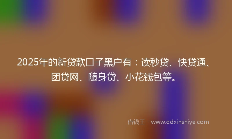2025年的新贷款口子黑户有：读秒贷、快贷通、团贷网、随身贷、小花钱包等。