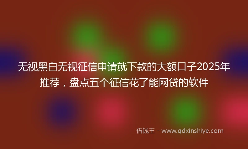 无视黑白无视征信申请就下款的大额口子2025年推荐,盘点五个征信花了能网贷的软件