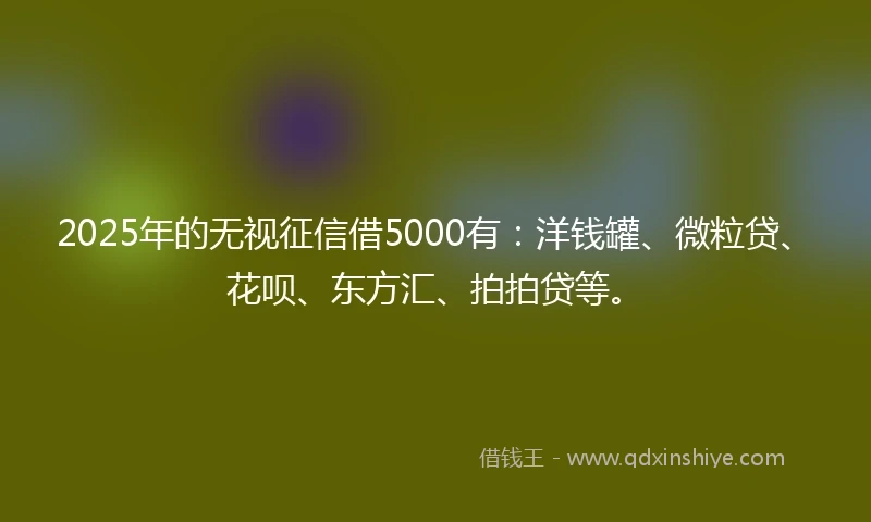 2025年的无视征信借5000有：洋钱罐、微粒贷、花呗、东方汇、拍拍贷等。
