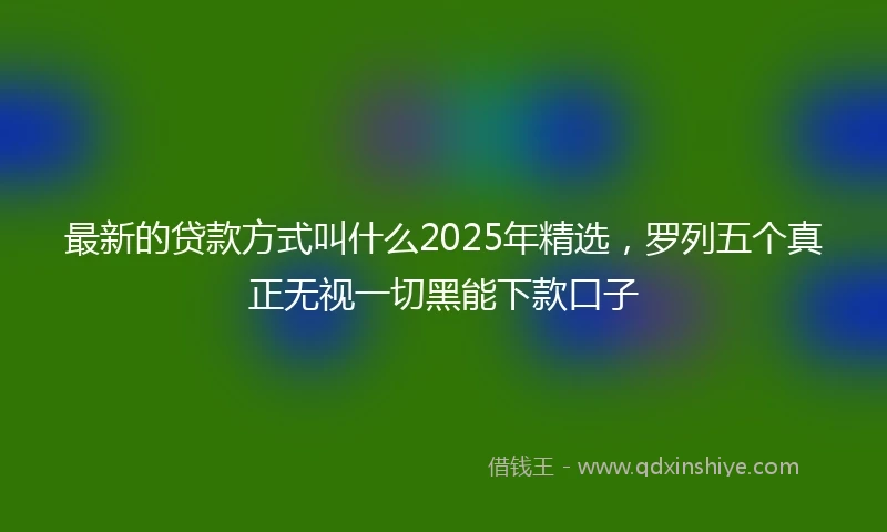 最新的贷款方式叫什么2025年精选，罗列五个真正无视一切黑能下款口子