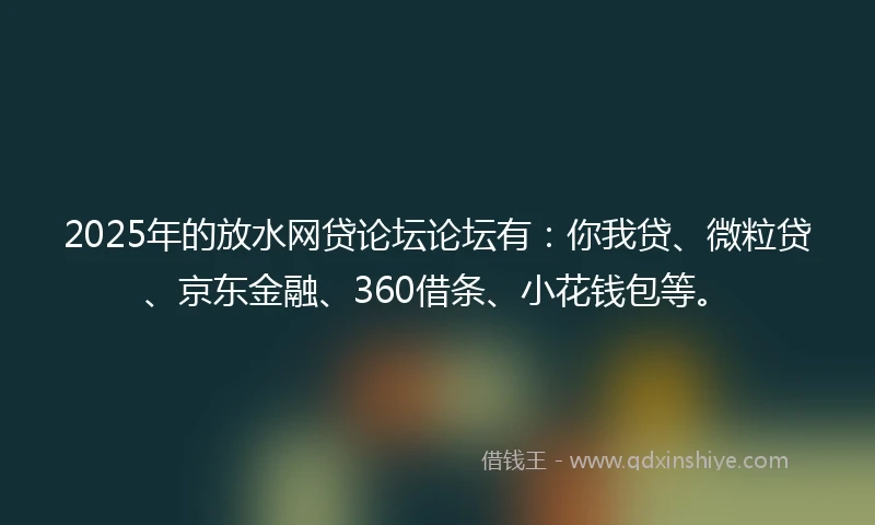 2025年的放水网贷论坛论坛有：你我贷、微粒贷、京东金融、360借条、小花钱包等。