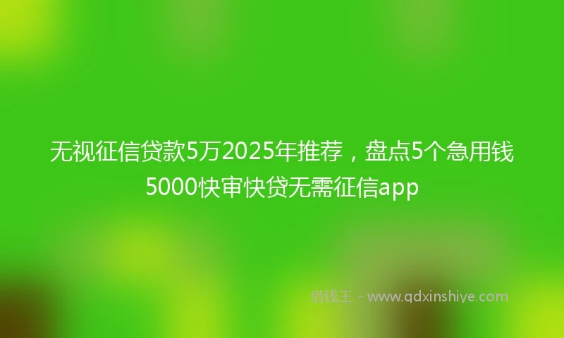 无视征信贷款5万2025年推荐，盘点5个急用钱5000快审快贷无需征信app