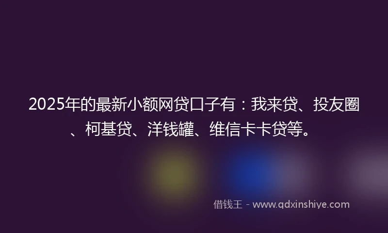 2025年的最新小额网贷口子有：我来贷、投友圈、柯基贷、洋钱罐、维信卡卡贷等。