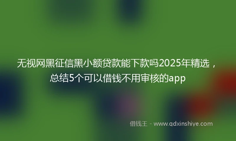无视网黑征信黑小额贷款能下款吗2025年精选，总结5个可以借钱不用审核的app