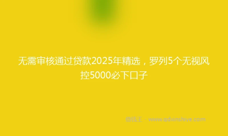 无需审核通过贷款2025年精选，罗列5个无视风控5000必下口子