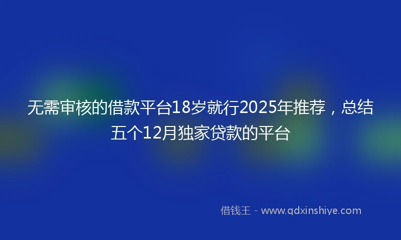 无需审核的借款平台18岁就行2025年推荐，总结五个12月独家贷款的平台