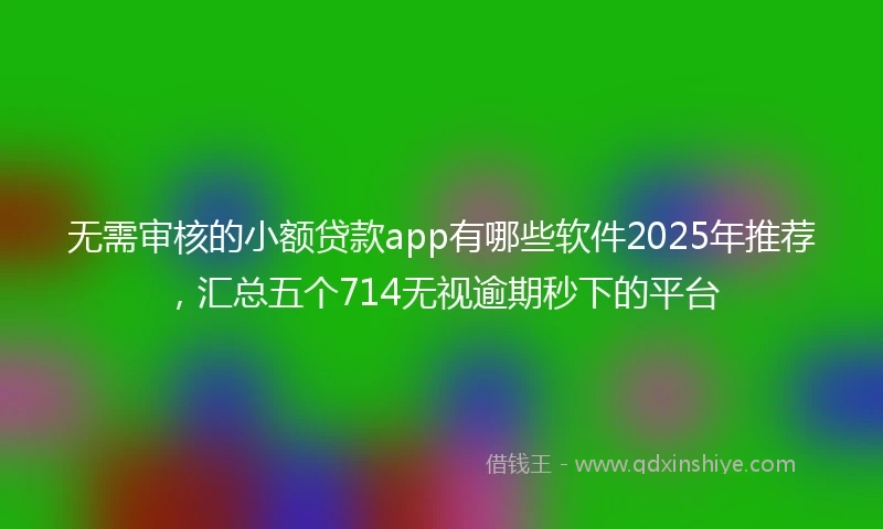 无需审核的小额贷款app有哪些软件2025年推荐，汇总五个714无视逾期秒下的平台