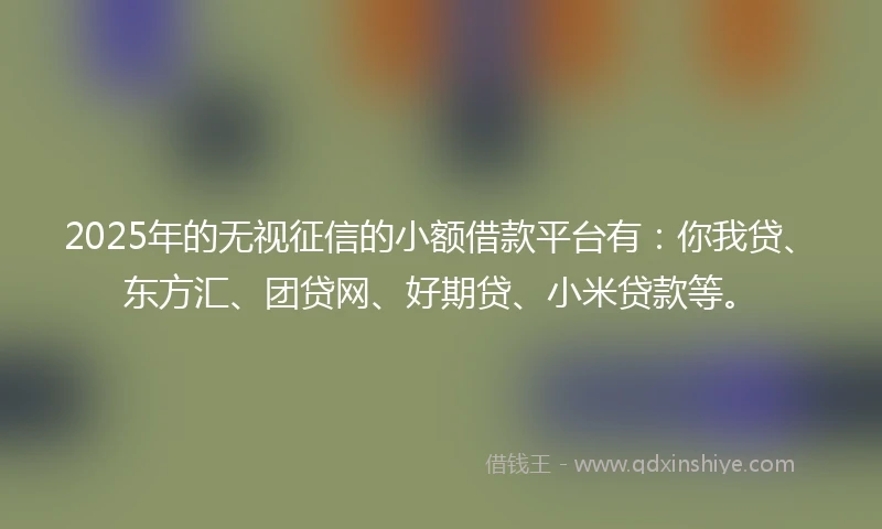 2025年的无视征信的小额借款平台有：你我贷、东方汇、团贷网、好期贷、小米贷款等。