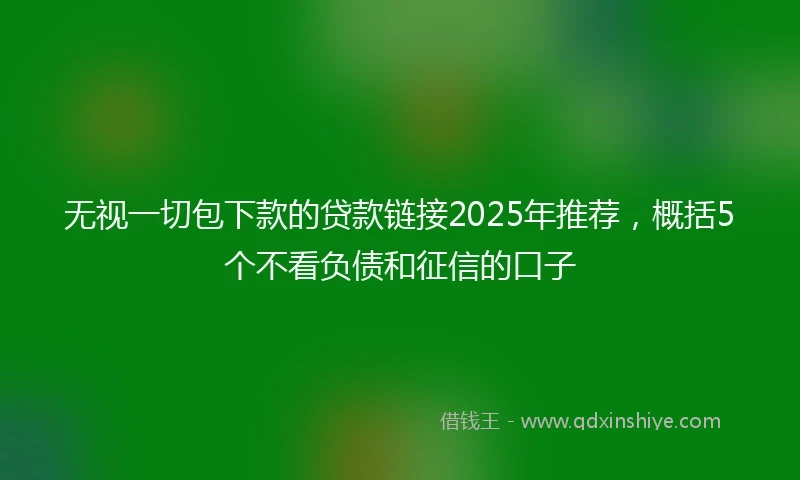 无视一切包下款的贷款链接2025年推荐,概括5个不看负债和征信的口子