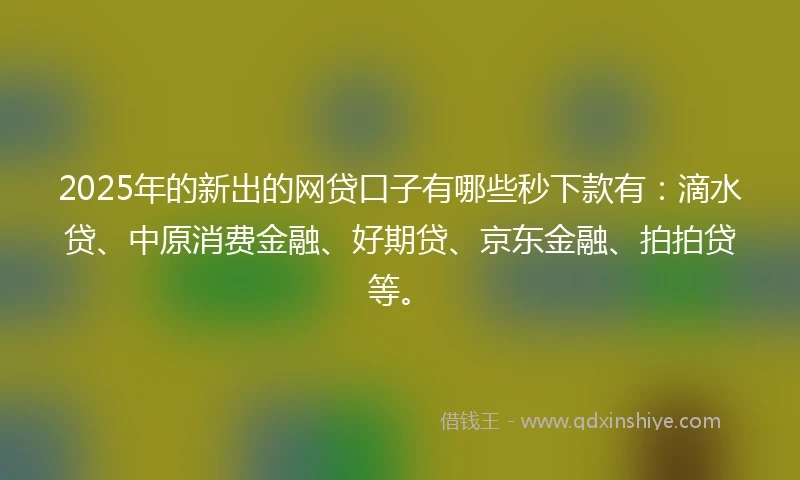 2025年的新出的网贷口子有哪些秒下款有：滴水贷、中原消费金融、好期贷、京东金融、拍拍贷等。