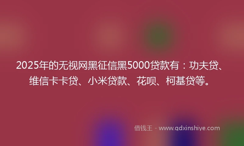 2025年的无视网黑征信黑5000贷款有：功夫贷、维信卡卡贷、小米贷款、花呗、柯基贷等。