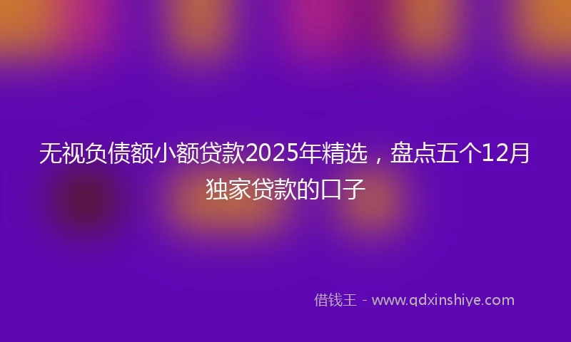 无视负债额小额贷款2025年精选，盘点五个12月独家贷款的口子
