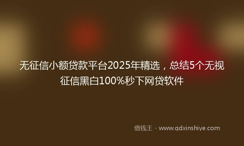 无征信小额贷款平台2025年精选，总结5个无视征信黑白100%秒下网贷软件