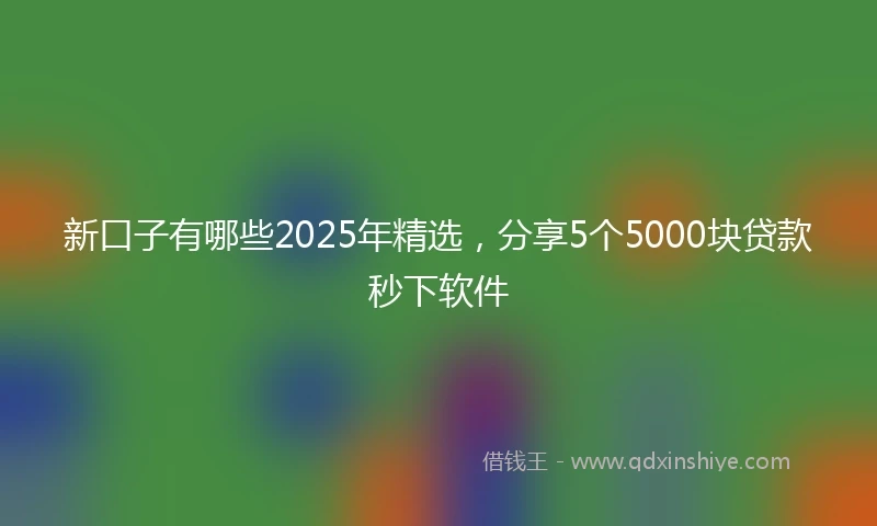 新口子有哪些2025年精选，分享5个5000块贷款秒下软件