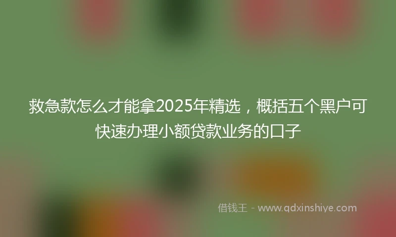 救急款怎么才能拿2025年精选，概括五个黑户可快速办理小额贷款业务的口子
