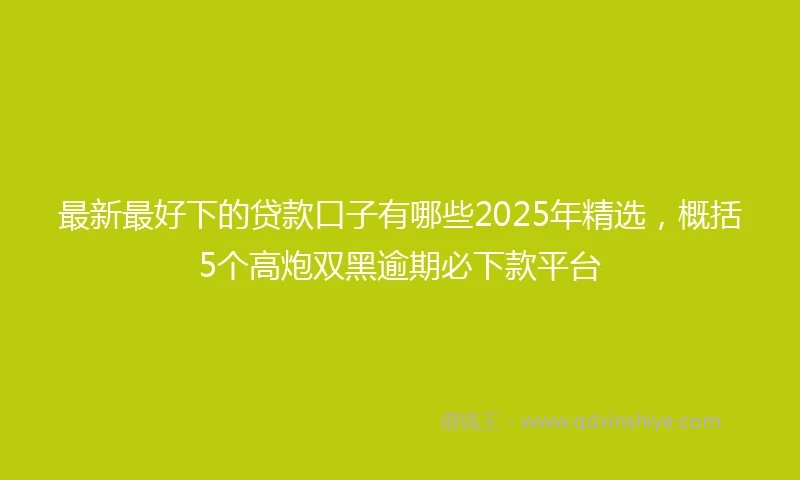 最新最好下的贷款口子有哪些2025年精选，概括5个高炮双黑逾期必下款平台