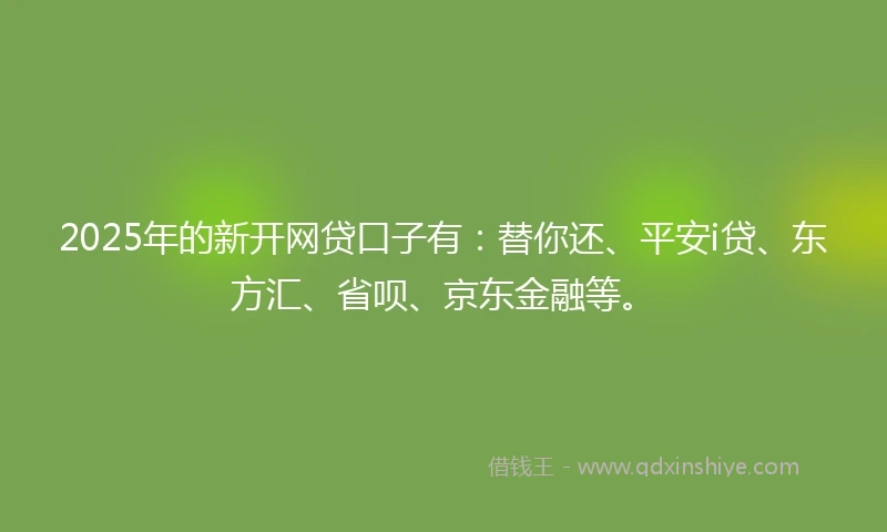 2025年的新开网贷口子有：替你还、平安i贷、东方汇、省呗、京东金融等。
