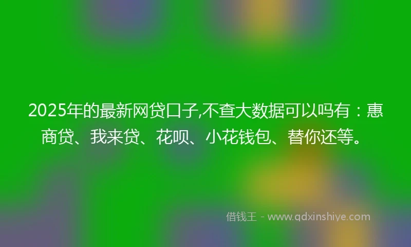 2025年的最新网贷口子,不查大数据可以吗有：惠商贷、我来贷、花呗、小花钱包、替你还等。