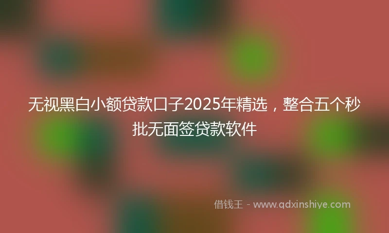 无视黑白小额贷款口子2025年精选，整合五个秒批无面签贷款软件