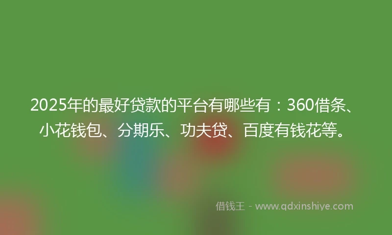 2025年的最好贷款的平台有哪些有：360借条、小花钱包、分期乐、功夫贷、百度有钱花等。