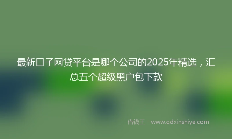最新口子网贷平台是哪个公司的2025年精选，汇总五个超级黑户包下款