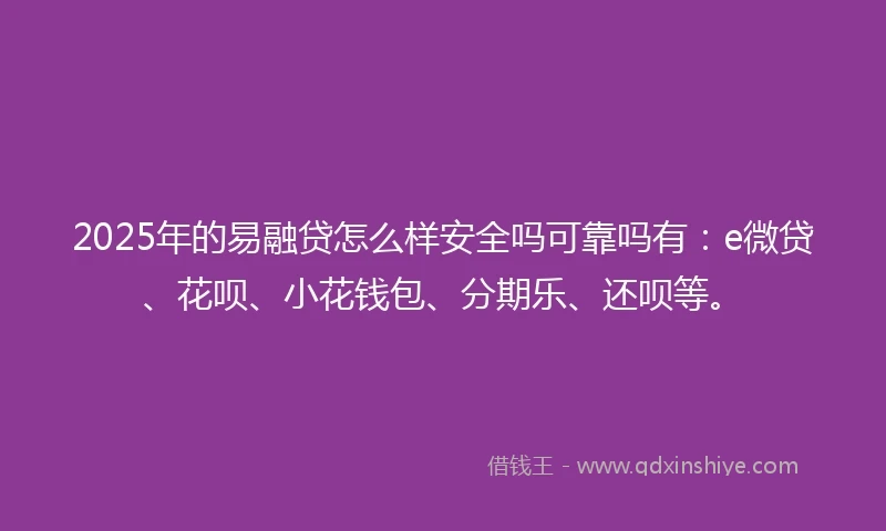 2025年的易融贷怎么样安全吗可靠吗有：e微贷、花呗、小花钱包、分期乐、还呗等。