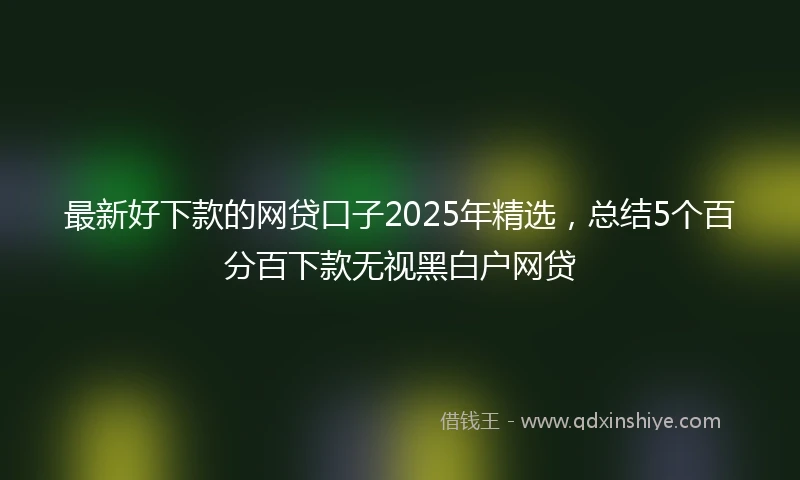 最新好下款的网贷口子2025年精选，总结5个百分百下款无视黑白户网贷
