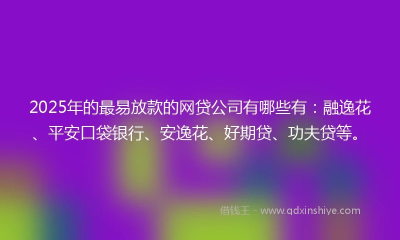 2025年的最易放款的网贷公司有哪些有：融逸花、平安口袋银行、安逸花、好期贷、功夫贷等。