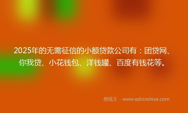 2025年的无需征信的小额贷款公司有：团贷网、你我贷、小花钱包、洋钱罐、百度有钱花等。