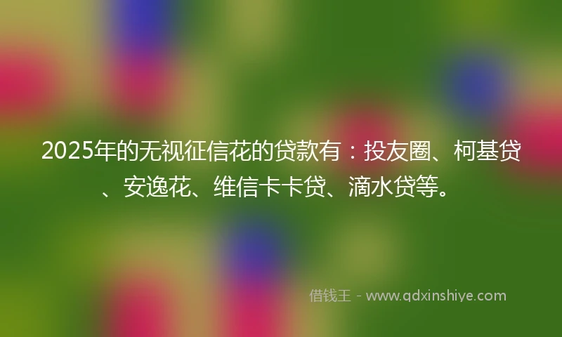 2025年的无视征信花的贷款有：投友圈、柯基贷、安逸花、维信卡卡贷、滴水贷等。
