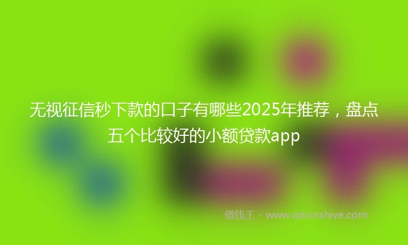 无视征信秒下款的口子有哪些2025年推荐，盘点五个比较好的小额贷款app