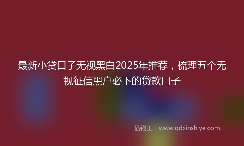 最新小贷口子无视黑白2025年推荐，梳理五个无视征信黑户必下的贷款口子