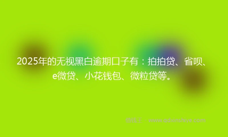 2025年的无视黑白逾期口子有：拍拍贷、省呗、e微贷、小花钱包、微粒贷等。