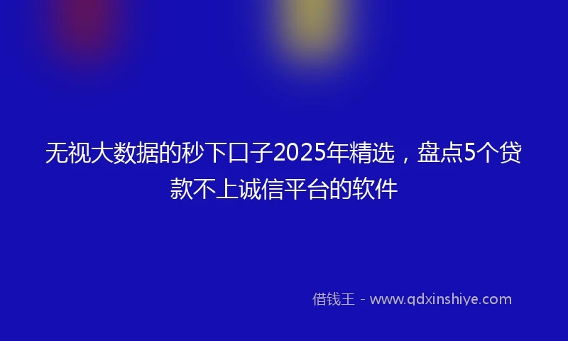无视大数据的秒下口子2025年精选，盘点5个贷款不上诚信平台的软件