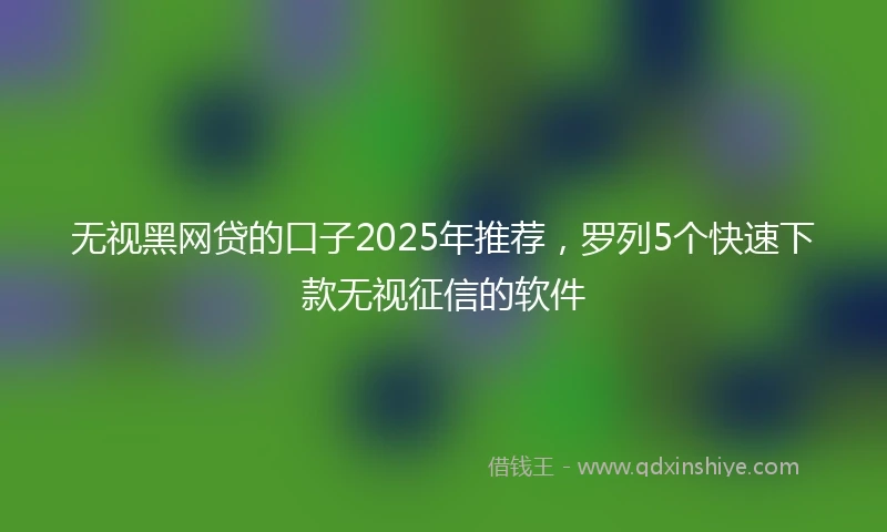 无视黑网贷的口子2025年推荐，罗列5个快速下款无视征信的软件