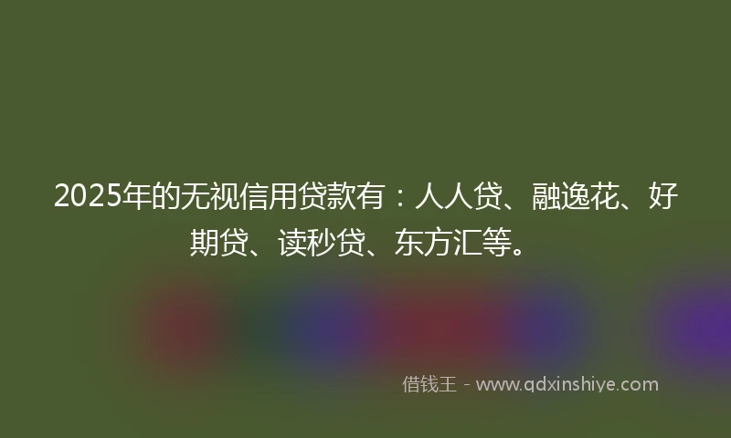 2025年的无视信用贷款有：人人贷、融逸花、好期贷、读秒贷、东方汇等。