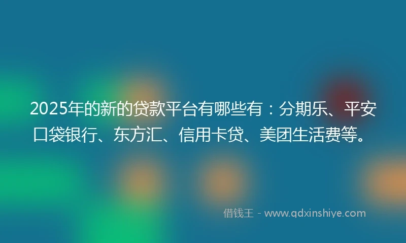 2025年的新的贷款平台有哪些有：分期乐、平安口袋银行、东方汇、信用卡贷、美团生活费等。