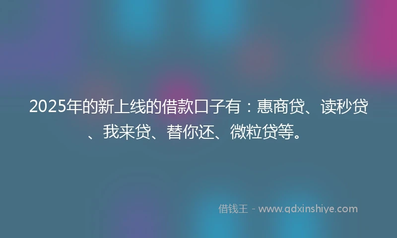 2025年的新上线的借款口子有：惠商贷、读秒贷、我来贷、替你还、微粒贷等。