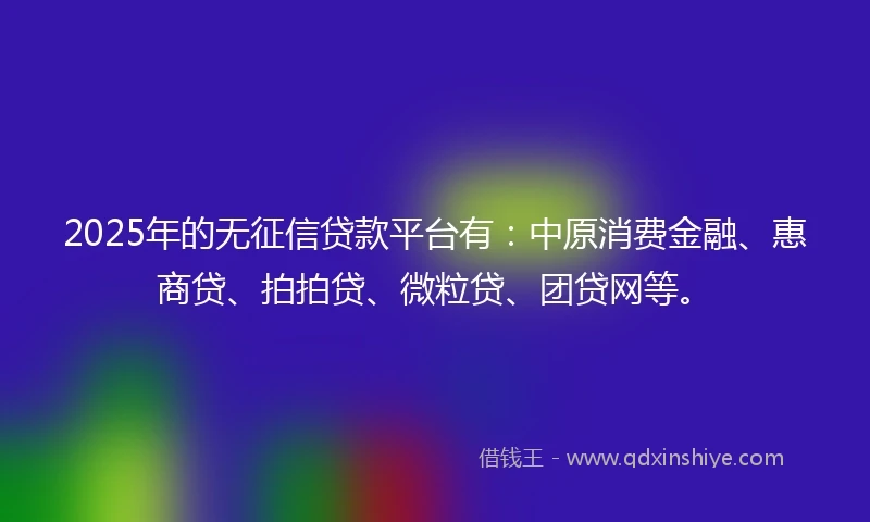 2025年的无征信贷款平台有:中原消费金融、惠商贷、拍拍贷、微粒贷、团贷网等。
