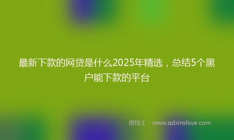 最新下款的网贷是什么2025年精选，总结5个黑户能下款的平台
