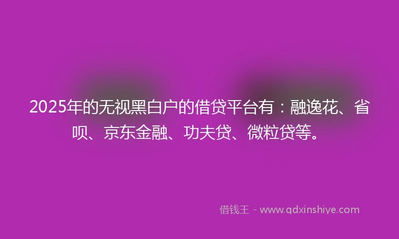 2025年的无视黑白户的借贷平台有：融逸花、省呗、京东金融、功夫贷、微粒贷等。