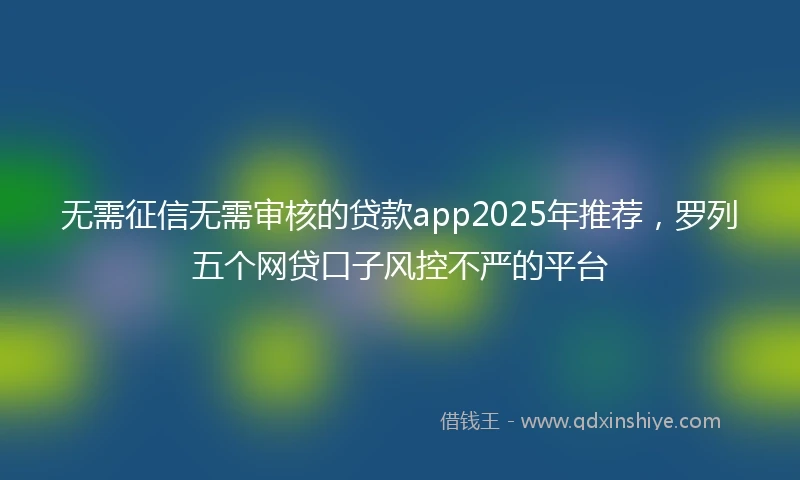 无需征信无需审核的贷款app2025年推荐，罗列五个网贷口子风控不严的平台