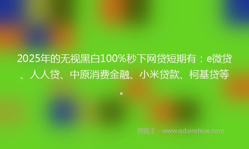 2025年的无视黑白100%秒下网贷短期有：e微贷、人人贷、中原消费金融、小米贷款、柯基贷等。