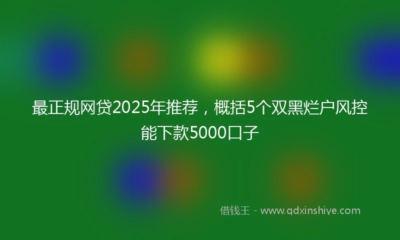 最正规网贷2025年推荐,概括5个双黑烂户风控能下款5000口子